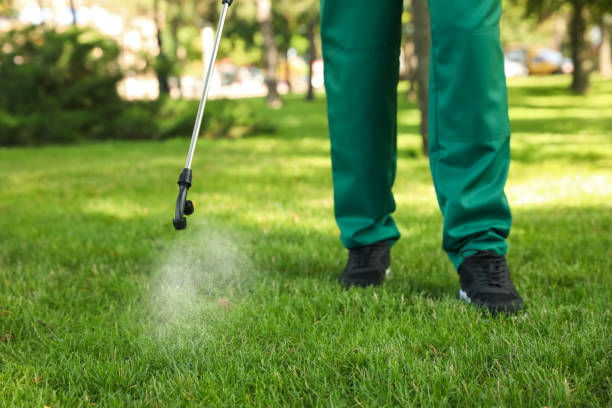 Best Pest Removal Services  in Mesquite, TX