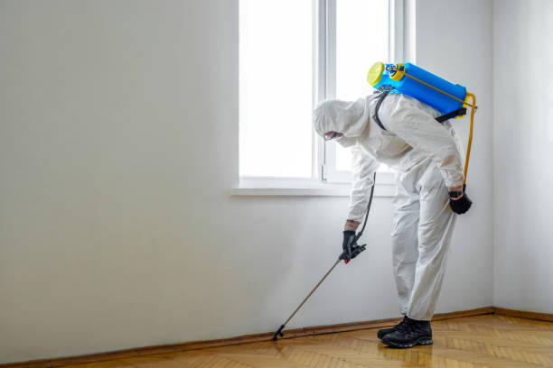 Best Residential Pest Control  in Mesquite, TX