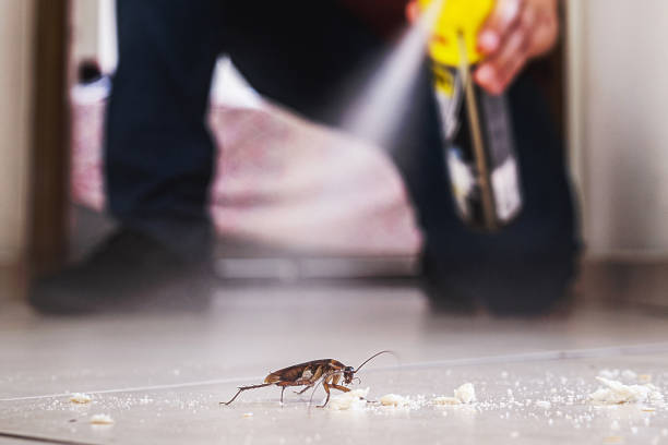  Mesquite, TX Pest Control Pros